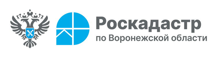 Роскадастр по Воронежской области.