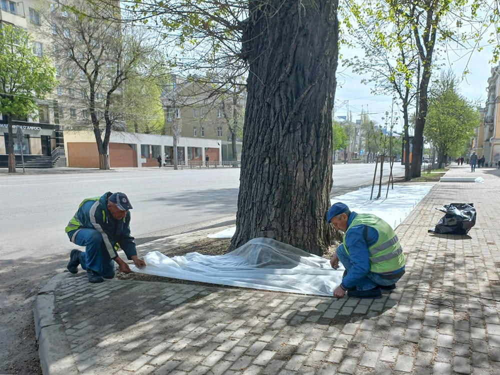 В районах города продолжаются работы по благоустройству.