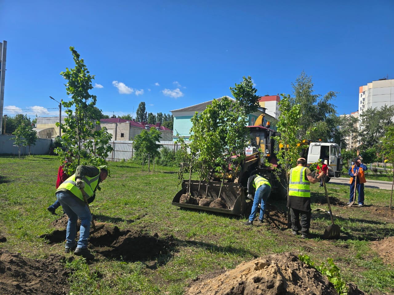 В Советском районе продолжается озеленение.