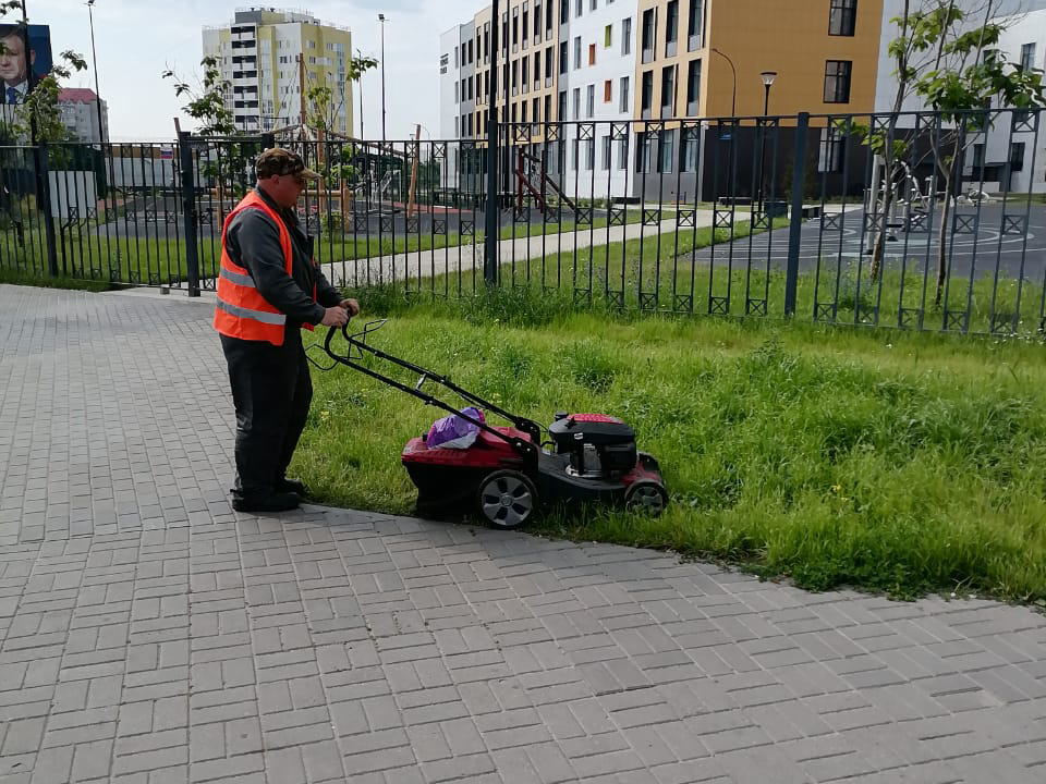 В Воронеже продолжаются работы по восстановлению и обустройству газонов.