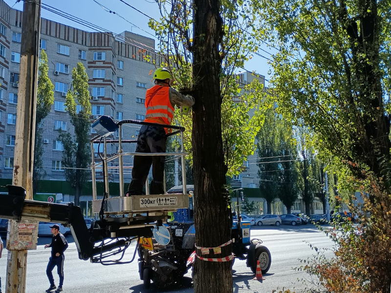 На территории Железнодорожного района продолжается уход за зелеными насаждениями.