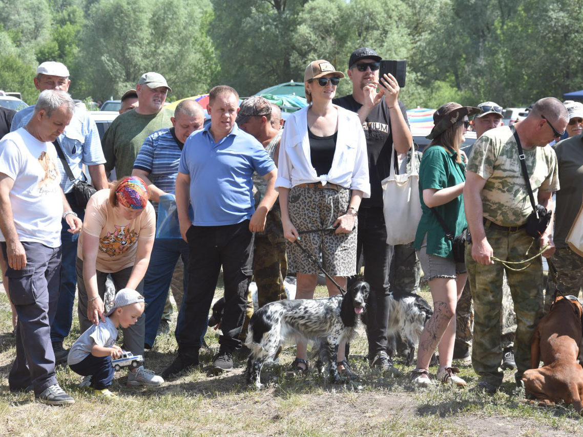 Воронеж принял областную выставку собак охотничьих пород.