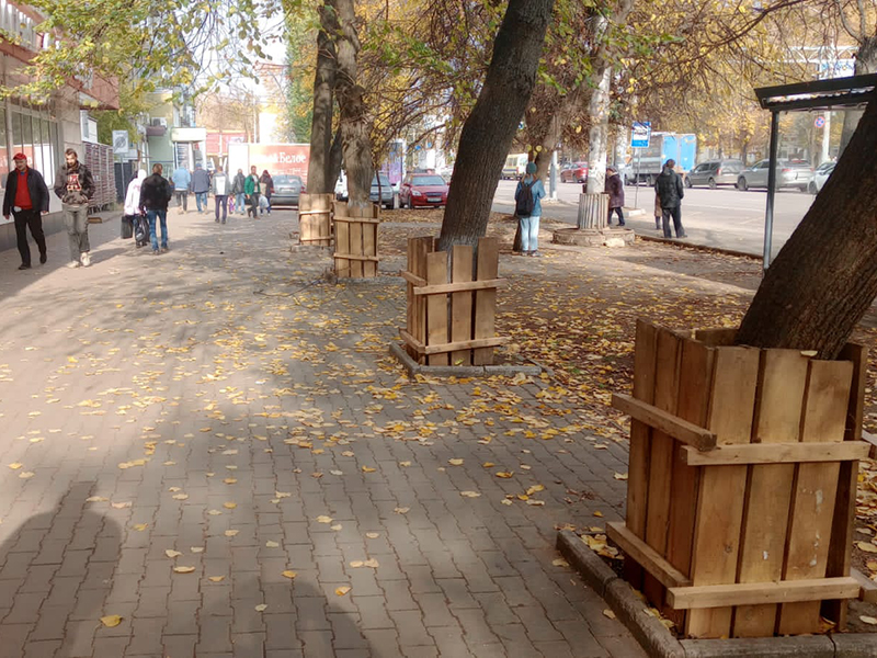 В Коминтерновском районе стволы деревьев ограждают с помощью деревянных щитов.