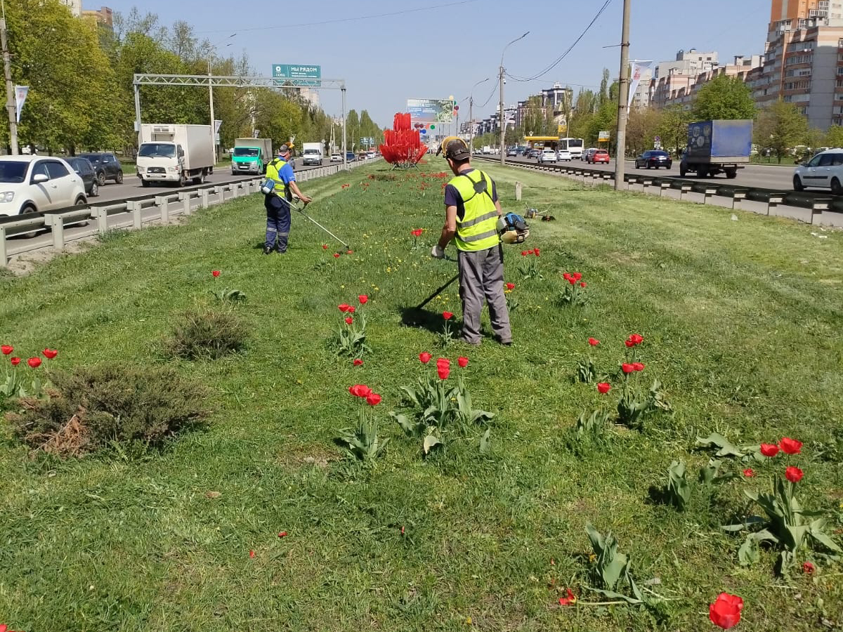 В Коминтерновском районе ведется усиленный полив газонов и цветников.