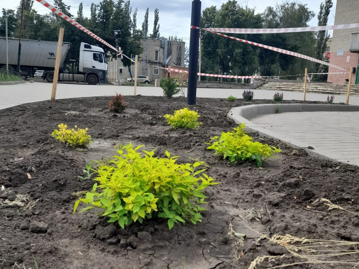 В микрорайоне Никольское благоустраивают сквер Майский.