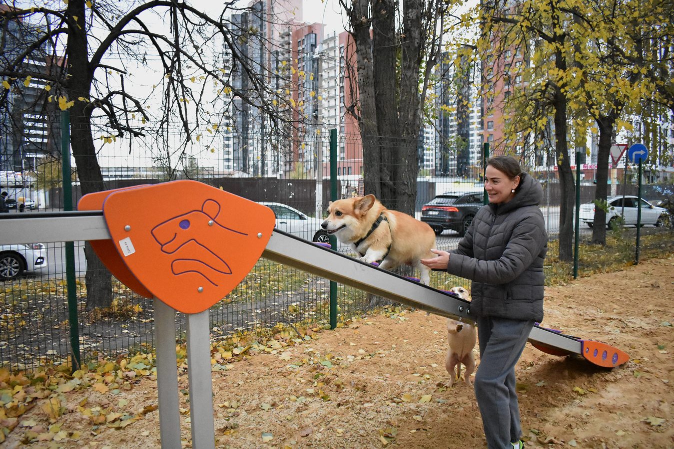 Новая площадка для выгула собак появилась в Ленинском районе Воронежа.