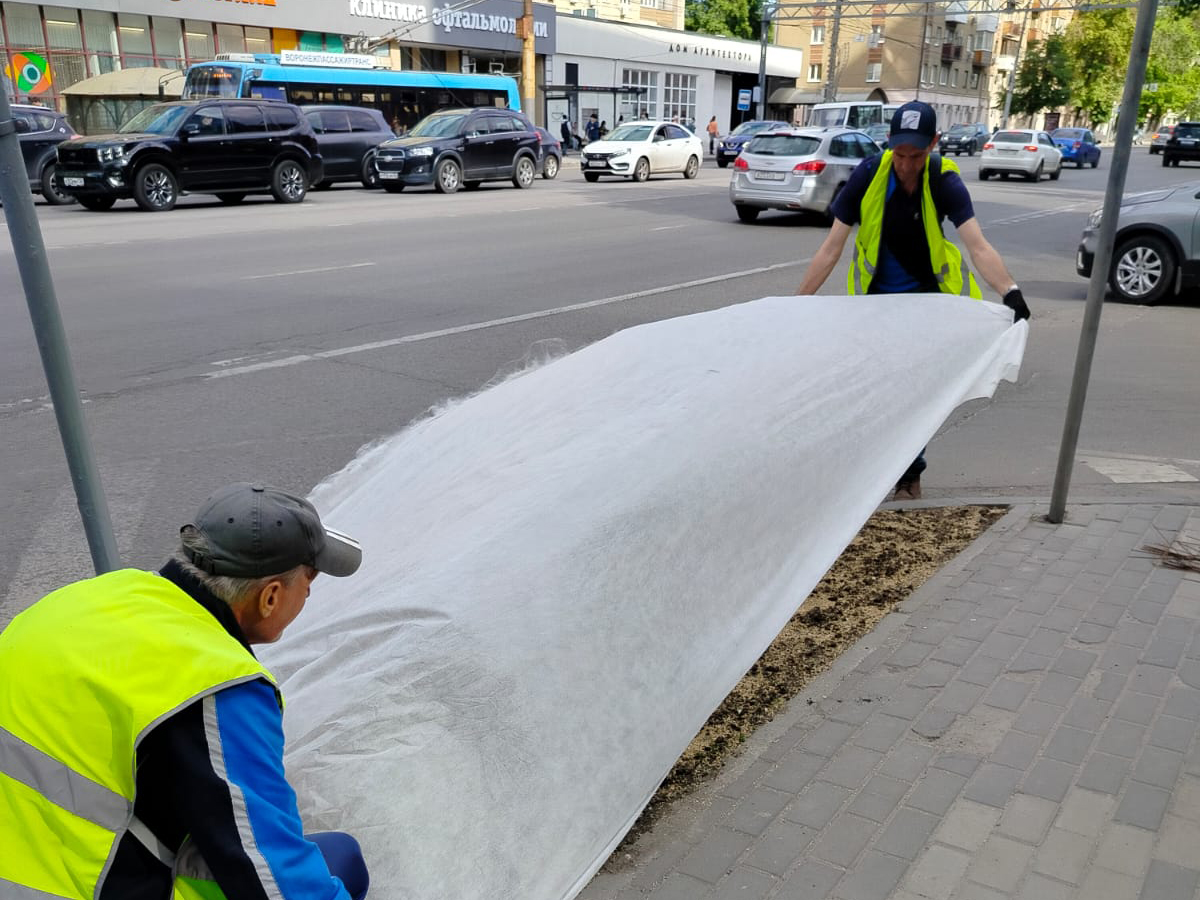 В Ленинском районе активно продолжают формировать и развивать зелёные насаждения.