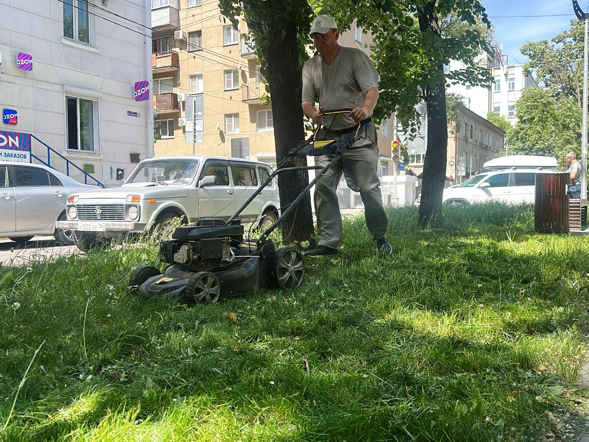 В Ленинском районе проходят плановые мероприятия по уходу за зелеными насаждениями.