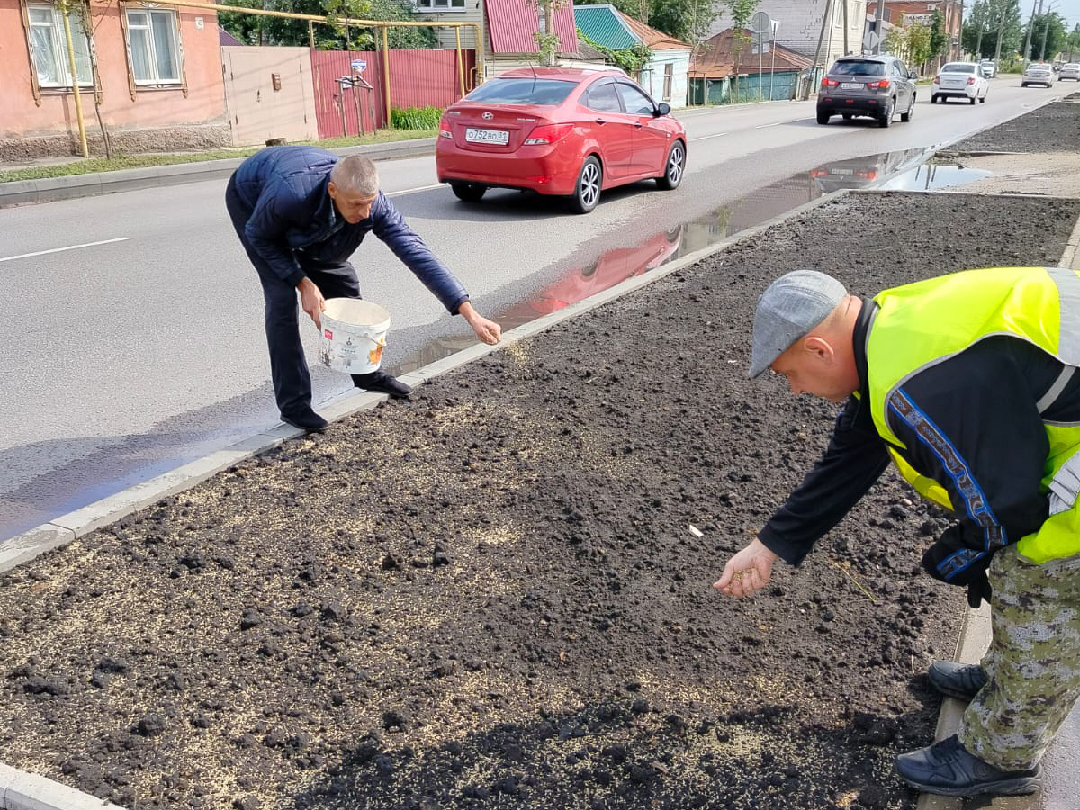 В Ленинском районе обновили газоны на Краснознаменной улице.
