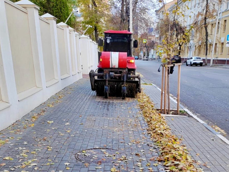 В Центральном районе продолжаются активные работы по наведению санитарного порядка.