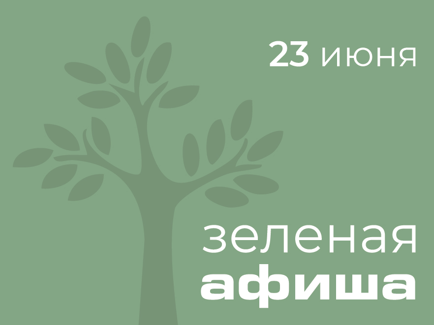 Мероприятия в парках и скверах Воронежа 23 июня.