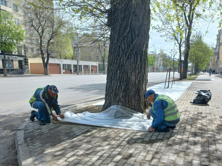 В районах города продолжаются работы по благоустройству. В районах города продолжаются работы по благоустройству.