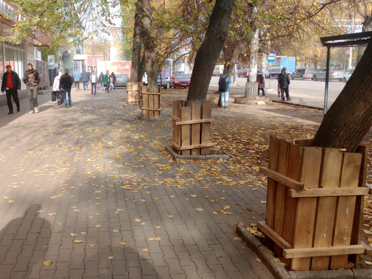 В Коминтерновском районе стволы деревьев ограждают с помощью деревянных щитов. В Коминтерновском районе стволы деревьев ограждают с помощью деревянных щитов.