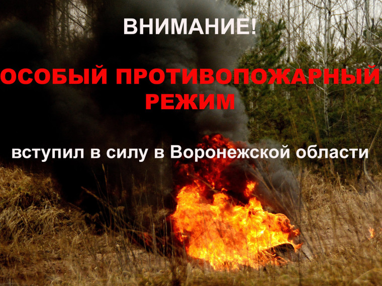На территории Воронежской области введен особый противопожарный режим. На территории Воронежской области введен особый противопожарный режим.