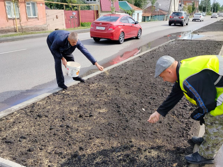 В Ленинском районе обновили газоны на Краснознаменной улице. В Ленинском районе обновили газоны на Краснознаменной улице.