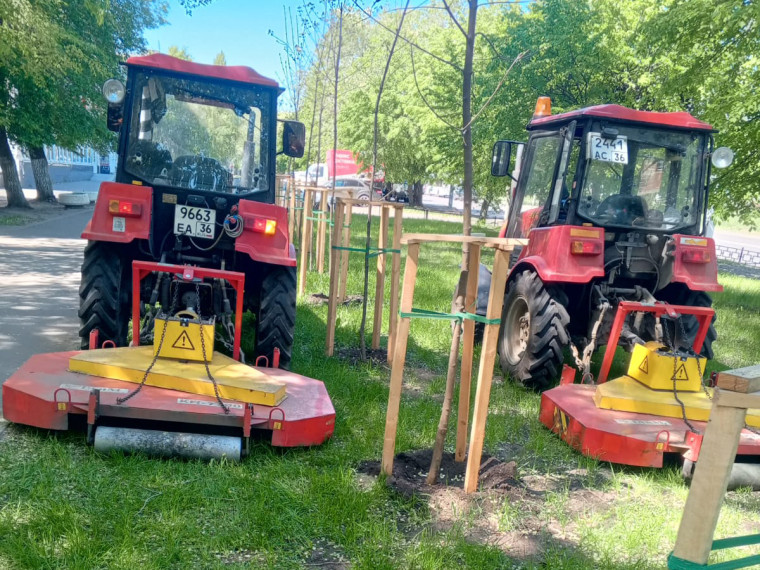 В Коминтерновском районе в приоритете уход за зелеными насаждениями. В Коминтерновском районе в приоритете уход за зелеными насаждениями.